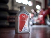 DUCATI 2019 Multistrada 950 S SHELL ADVANCE [MOD:MS950S]
