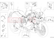 DUCATI 2019 SuperSport S WIRING HARNESS [MOD:SS 939 S]