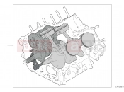 DUCATI 2019 Superbike Panigale V4 ASSIEME CARTER COMPLETO [MOD:PANV4]