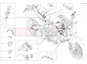 DUCATI 2020 Monster 797 WIRING HARNESS [MOD:M 797]