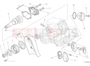 DUCATI 2020 Monster 797 VERTICAL CYLINDER HEAD - TIMING [MOD:M 797]