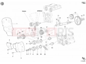 DUCATI 2004 Superbike 998 Matrix Single-Seat TIMING BELT » UNCLASSIFIED