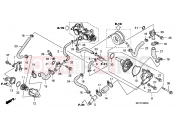 HONDA FJS400D7 ED SILVER WING 400 2007 E-6 WATER PUMP