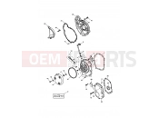 TRIUMPH DAYTONA 600 & 650 Engine Covers - Daytona 600