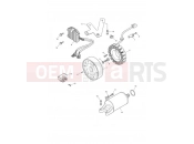 Triumph 2005 DAYTONA 600 & 650 Starter & Alternator