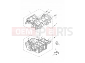 Triumph 2007 DAYTONA 600 & 650 Crankcases