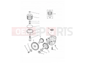 Triumph 1996 TRIDENT Lubrication System