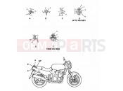 Triumph 1994 SPEED TRIPLE (CARBS) Bodywork Fixings