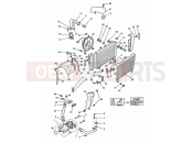 Triumph 1996 SPEED TRIPLE (CARBS) Cooling system