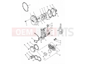 Triumph 1997 SPEED TRIPLE (CARBS) Engine Covers