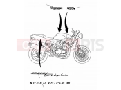 Triumph 2001 SPEED TRIPLE 885cc\955cc (EFI) > 141871 Bodywork Decals 955cc Engine