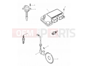Triumph 2001 SPEED TRIPLE 885cc\955cc (EFI) > 141871 Engine Management System