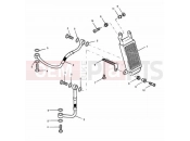 Triumph 2001 SPEED TRIPLE 885cc\955cc (EFI) > 141871 Oil Cooler 955cc Engine