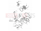 Triumph 2001 SPEED TRIPLE 885cc\955cc (EFI) > 141871 Engine Covers