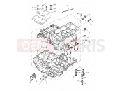 Triumph 2001 SPEED TRIPLE 885cc\955cc (EFI) > 141871 Crankcase