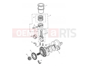 Triumph 2002 SPEED TRIPLE 141872 > 210444 Crankshaft, Connecting Rods...