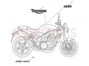 Triumph 2005 SPEED TRIPLE 210445 > 461331 Bodywork Decals 333178