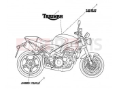 Triumph 2010 SPEED TRIPLE 210445 > 461331 Bodywork Decals 333179
