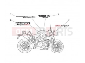 Triumph 2013 SPEED TRIPLE 461332 > 735437 Decals 657553