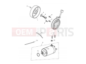 Triumph 2015 SPEED TRIPLE R > 735336 Starter & Alternator