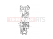Triumph 2020 Speed Triple S Crankcase Bolts