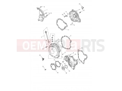 Triumph 2020 Speed Triple S Engine Covers