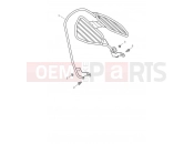 TRIUMPH TRIDENT 660 Saree Guard - IN Only