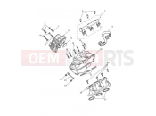 TRIUMPH TRIDENT 660 Throttle Bodies