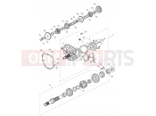 Triumph 2015 Tiger Explorer > 740276 TIGER EXPLORER Transmission