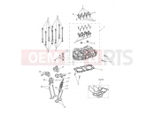 Triumph 2018 THRUXTON R Cylinder Head & Valves