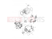 Triumph 1996 SPRINT CARBS Alternator & Starter