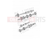 Triumph 1996 SPRINT CARBS Transmission
