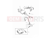 Triumph 1998 SPRINT CARBS Ignition System
