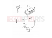 Triumph 2000 SPRINT RS > 139276 Engine Management System