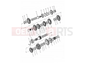 Triumph 2001 SPRINT RS > 139276 Transmission