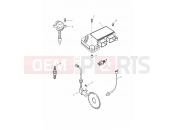 Triumph 2000 SPRINT ST > 139276 Engine Management System 89737 »