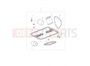 TRIUMPH THUNDERBIRD COMMANDER Service Kits