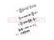 Triumph 2014 THUNDERBIRD LT Transmission