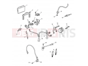 Triumph 2012 BONNEVILLE T100 EFI Ignition System