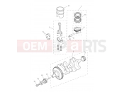 Triumph 2014 Tiger 800 > 674841 TIGER 800 Crankshaft, Connecting Rods...