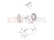 TRIUMPH Tiger 800 > 674841 TIGER 800XC Starter & Alternator 612714