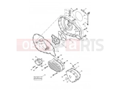Triumph 2003 SPEEDMASTER CARBS Engine Covers