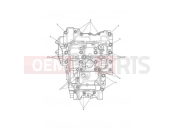 Triumph 2020 TIGER 900 GT Pro Crankcase Bolts