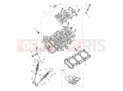 TRIUMPH TIGER 900 GT Pro Cylinder Head & Valves