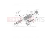 TRIUMPH TIGER 900 Rally Clutch