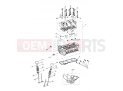 Triumph 2019 TIGER 1200 XCX Cylinder Head & Valves