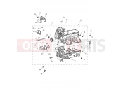 TRIUMPH TIGER 1200 XCX Crankcase & Fittings