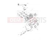 Triumph 2019 TIGER 1200 XRT Throttles, Injectors...