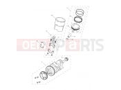 Triumph 2019 TIGER 1200 XRT Crankshaft, Connecting Rods...