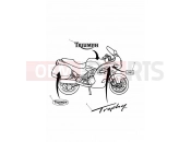 Triumph 2002 TROPHY 29156 > Bodywork - Decals